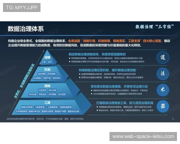数据治理体系构建，提升质量与安全保障